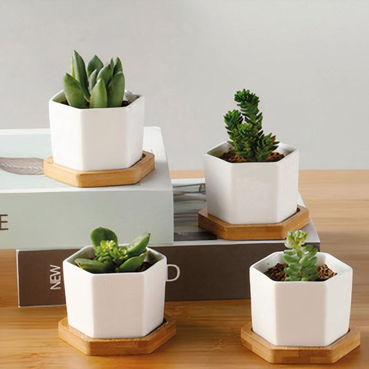 Succulent Planter -Small -Set of 3-