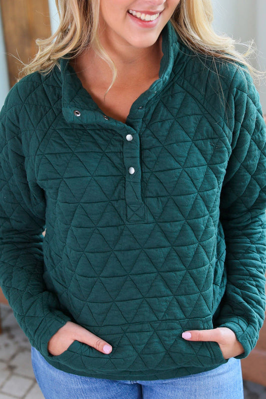 Blackish Green Plus Size Quilted Pocketed Henley Sweatshirt